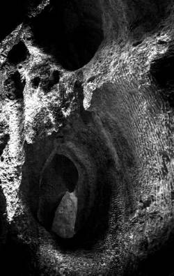 Nekrokaos : Nekrokaos - Noth